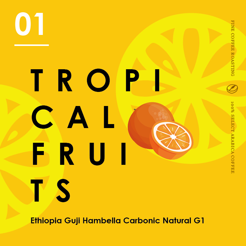 衣索匹亞／莓果森林 G1